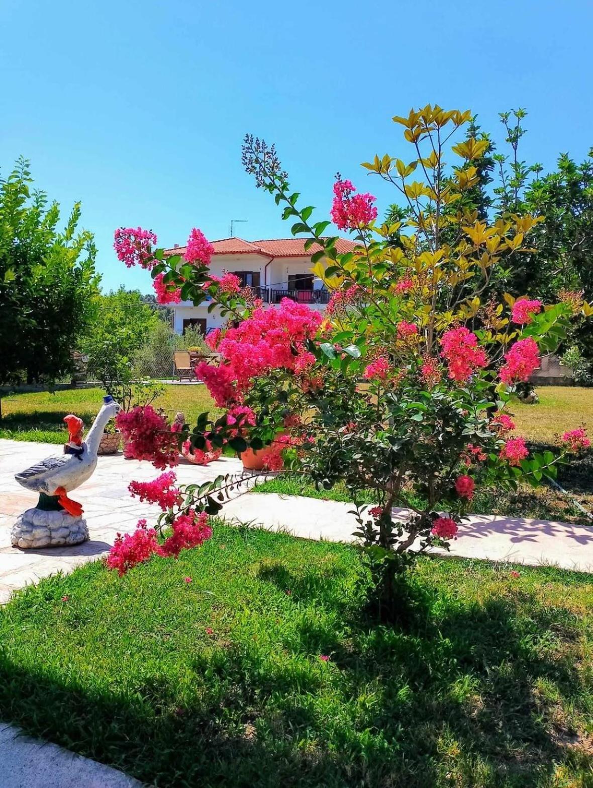 Apartmán Alexandra'S Garden Paliouri Exteriér fotografie
